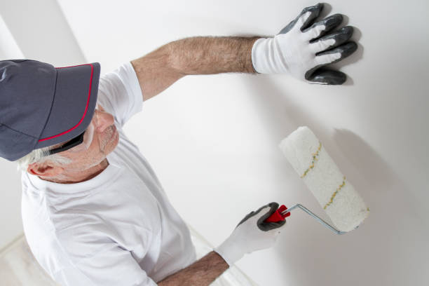Best Mold Documentation for Insurance Claims  in Gypsum, CO