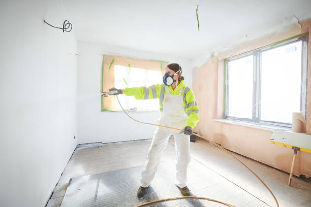 Mold Documentation for Insurance Claims in Gypsum, CO