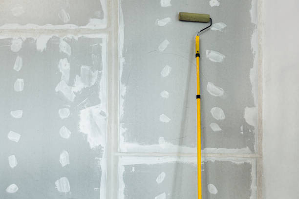 Trusted Gypsum, CO Mold Removal Experts