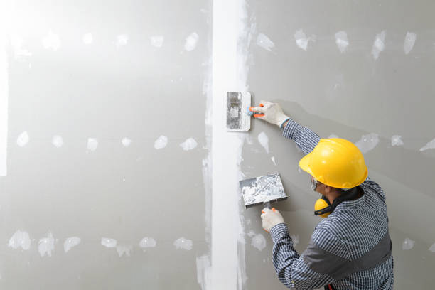 Asbestos and Lead Testing During Mold Inspection in Gypsum, CO