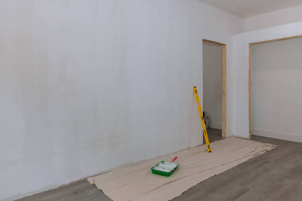 Best Mold-Related Health Consultation  in Gypsum, CO