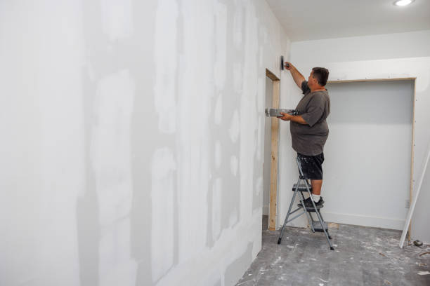 Best Airborne Mold Testing  in Gypsum, CO