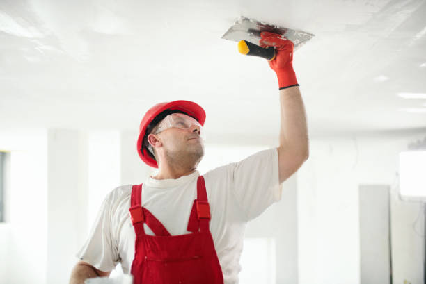 Best Mold Odor Removal Services  in Gypsum, CO