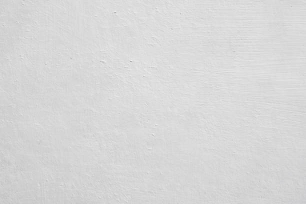 Best Mold Remediation for Healthcare Facilities  in Gypsum, CO