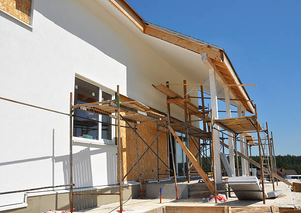 Best Mold Damage Restoration  in Gypsum, CO